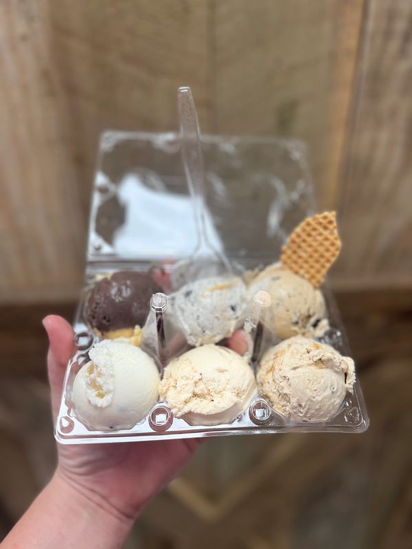 NikNak's ice cream flights