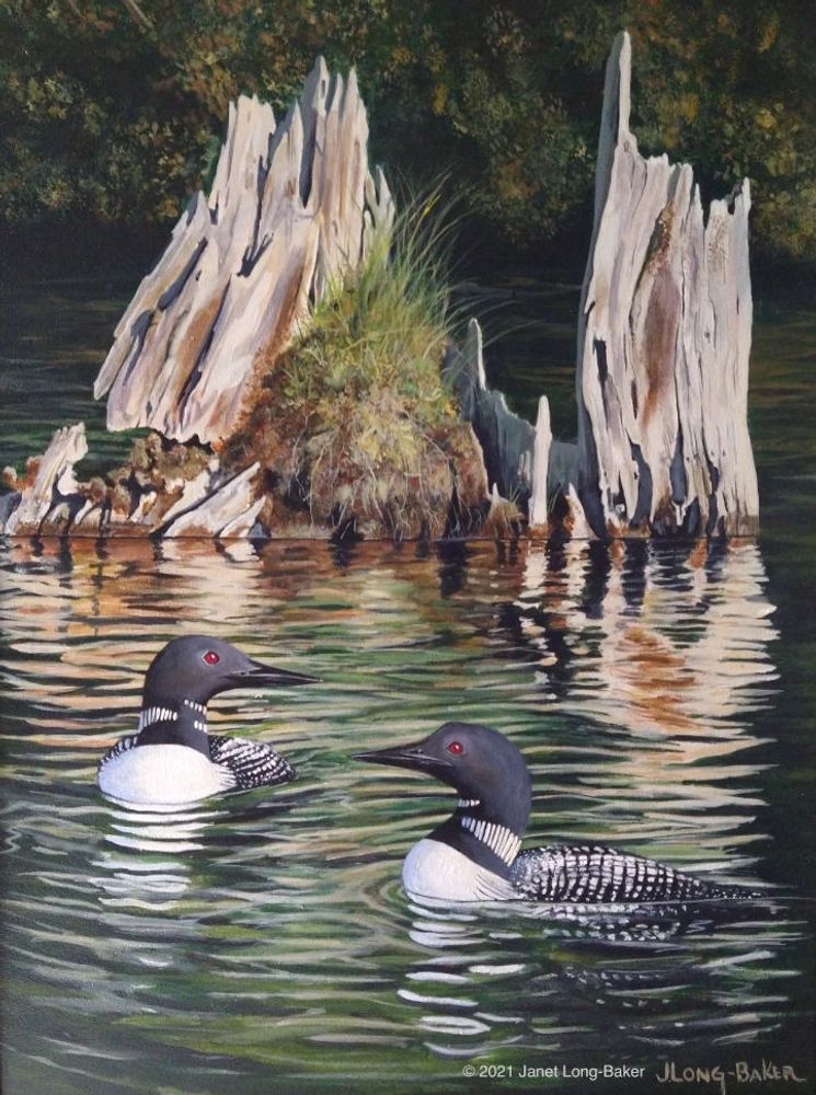 Painting 1
"Loons on the Backwaters".
18" x 24"
$2,500