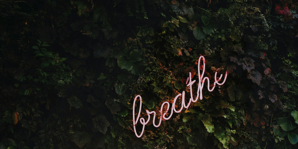 Neon sign saying 'breathe' on a dark leafy wall.