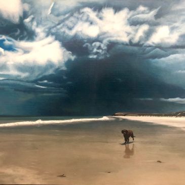 A lone dog on a vast beach under dramatic stormy clouds.