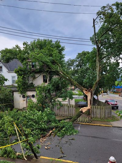 24/7 emergency tree service in North Hills Pittsburgh – fast storm damage cleanup.