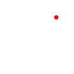 Whole Picture Health