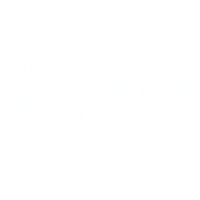 Essence Chiropractic