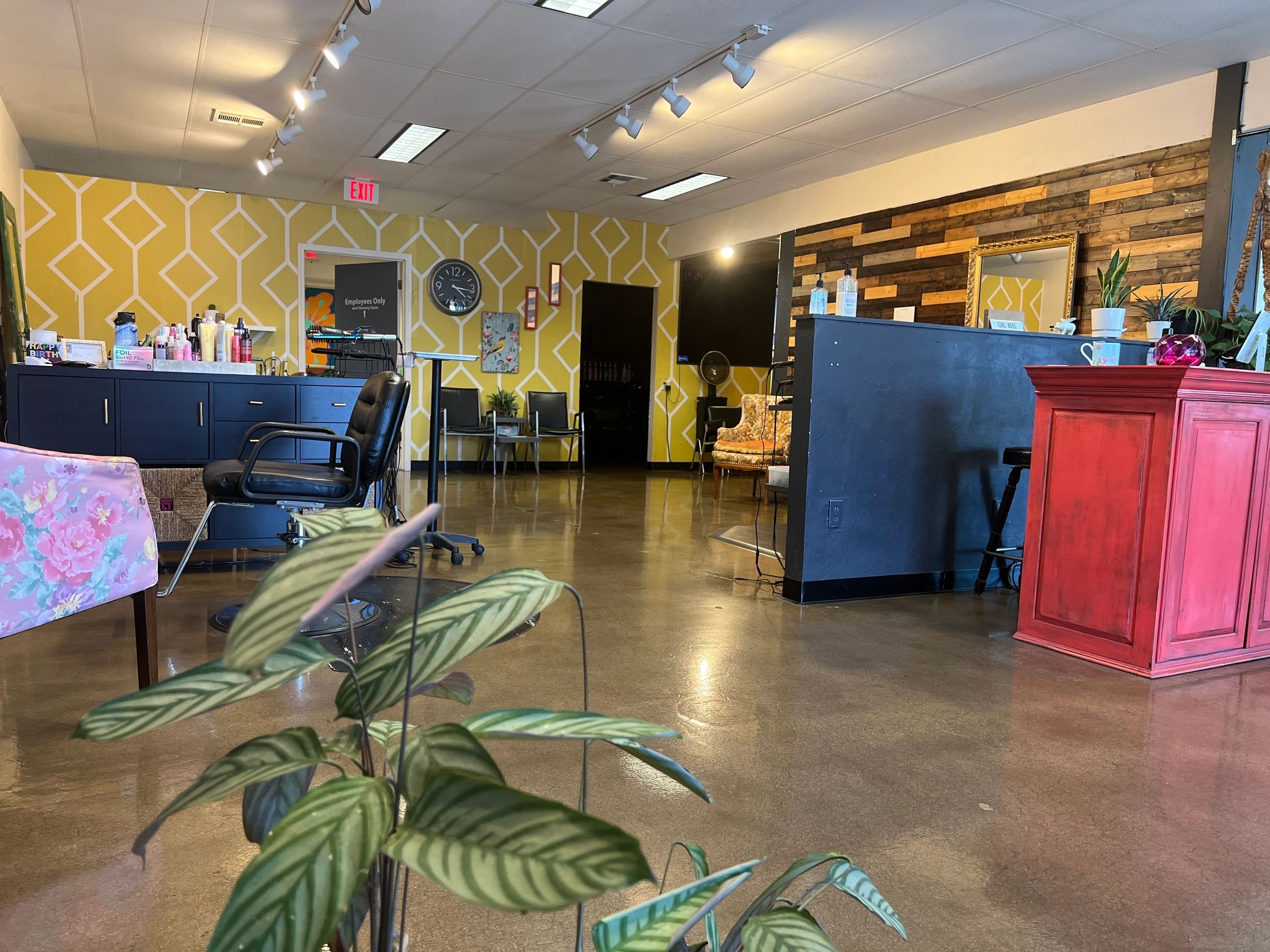 Eclektic Salon