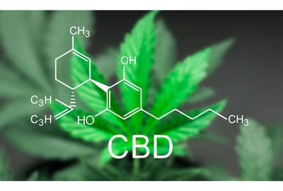 What are the myths about CBD? 