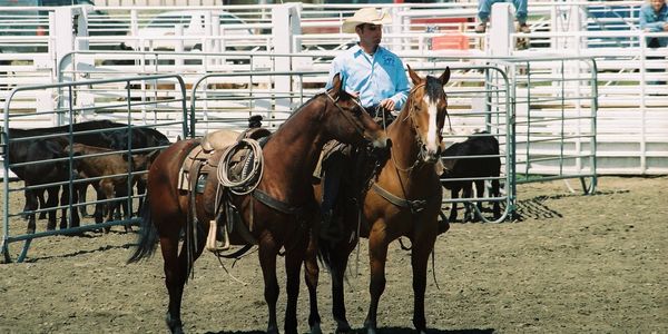 Empty Saddle Memorial Foundation