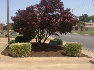 Landscape, Landscape Maintenance, Landscape Design, Gardner Lawn Service, Mulch