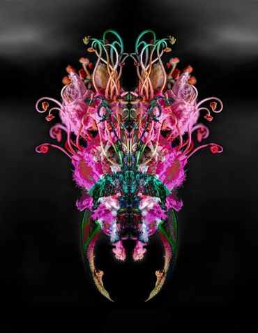 Intricate symmetrical floral design with vibrant colors on black background.