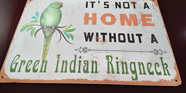 Sign saying home incomplete without a Green Indian Ringneck parrot.