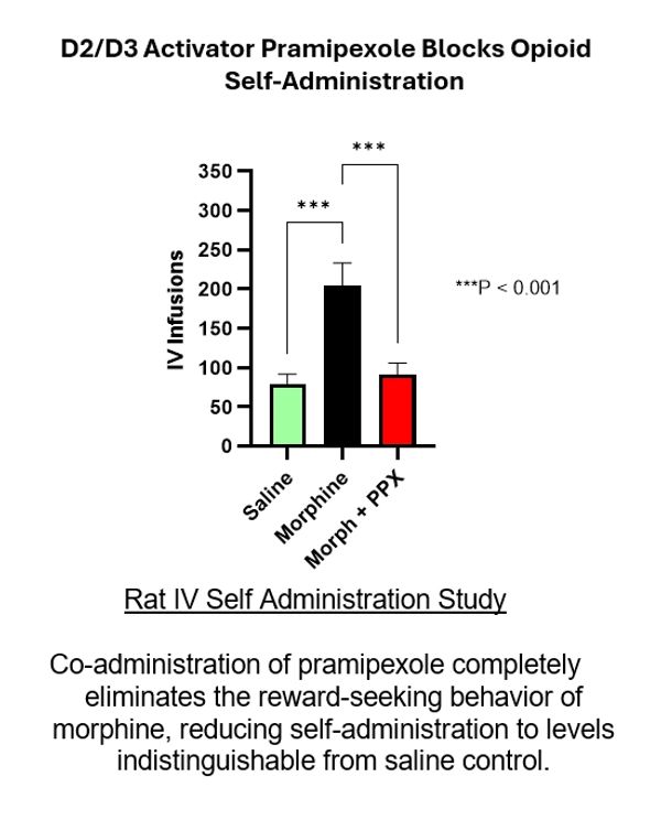 Pramipexole blocks opioid self-administration in rats.