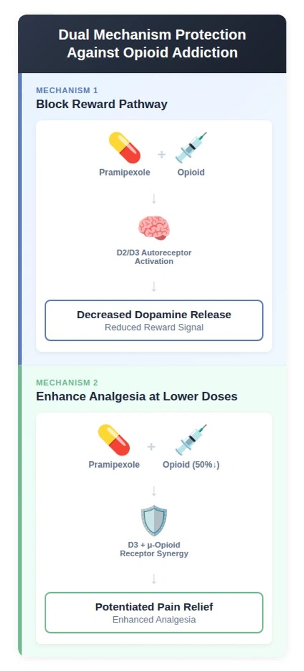 Diagram showing dual mechanisms protecting against opioid addiction.
