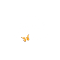 Social Butterfly Coffee Co