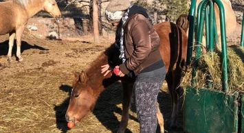 Having special neighbours and friends that come to visit help us to acclimate these incredible wilds