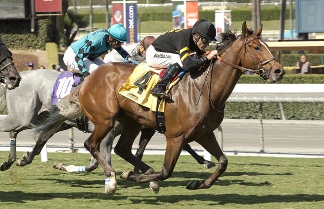 In the beginning, he had a phenomenal racing career ahead of him.....