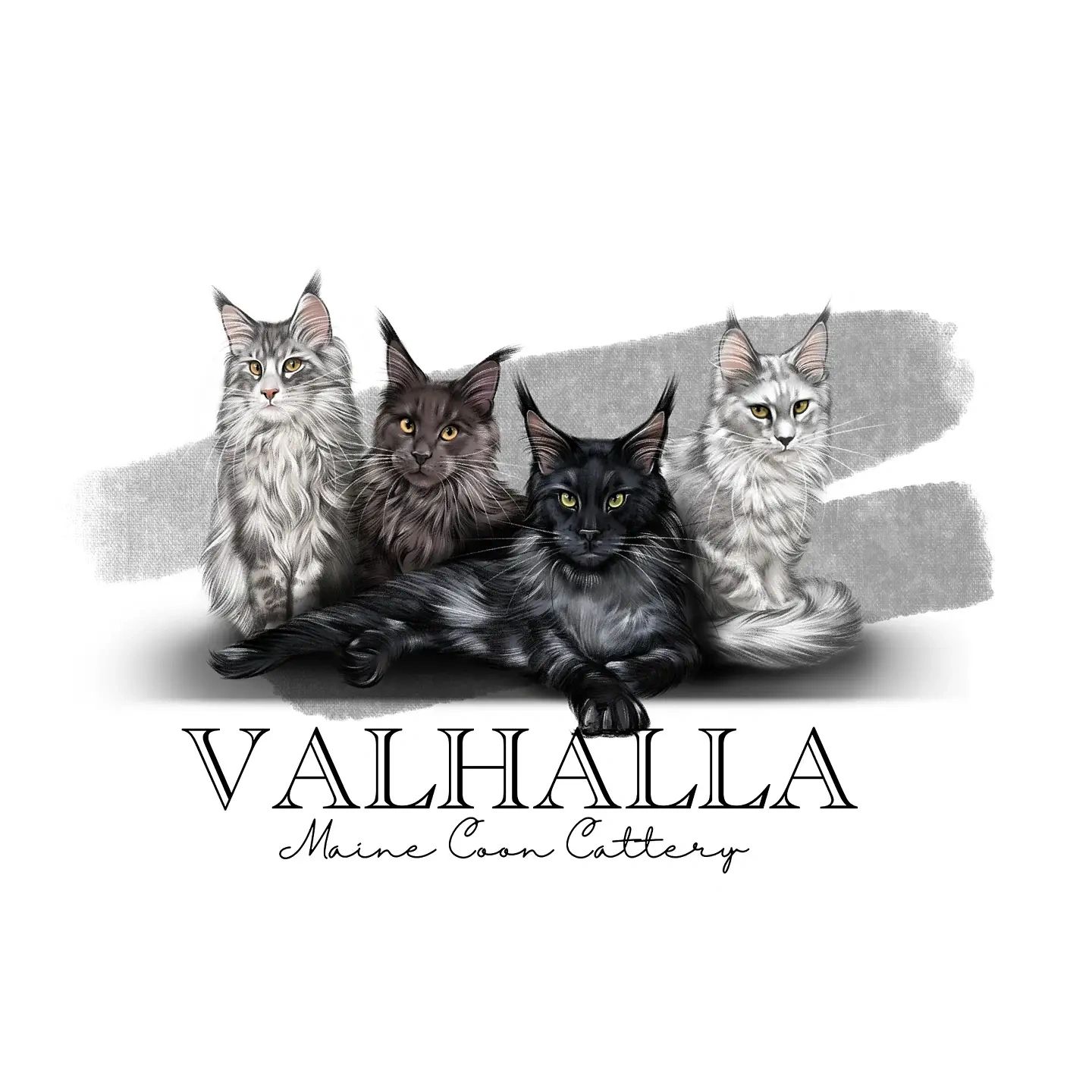 Steken In de genade van Fonkeling Valhalla Maine Coon Cattery - Maine Coon Cats, Maine Coon Kittens for Sale,  Breeder, Maine Coon Cats