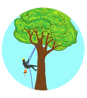 Milwaukee Tree Climber