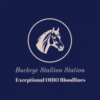 Buckeye Stallion Station LLC