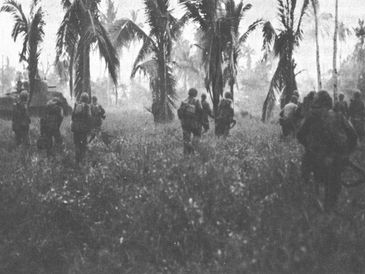 Soldiers advancing through a dense tropical jungle with palm trees.