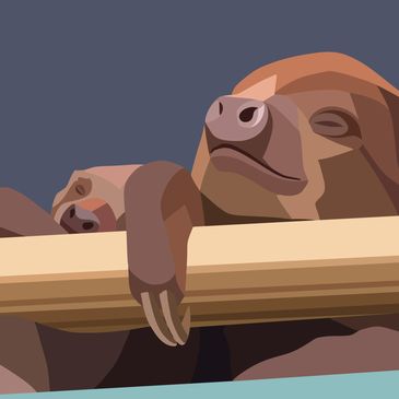 sloth mum and baby sleeping in colour block sstyle