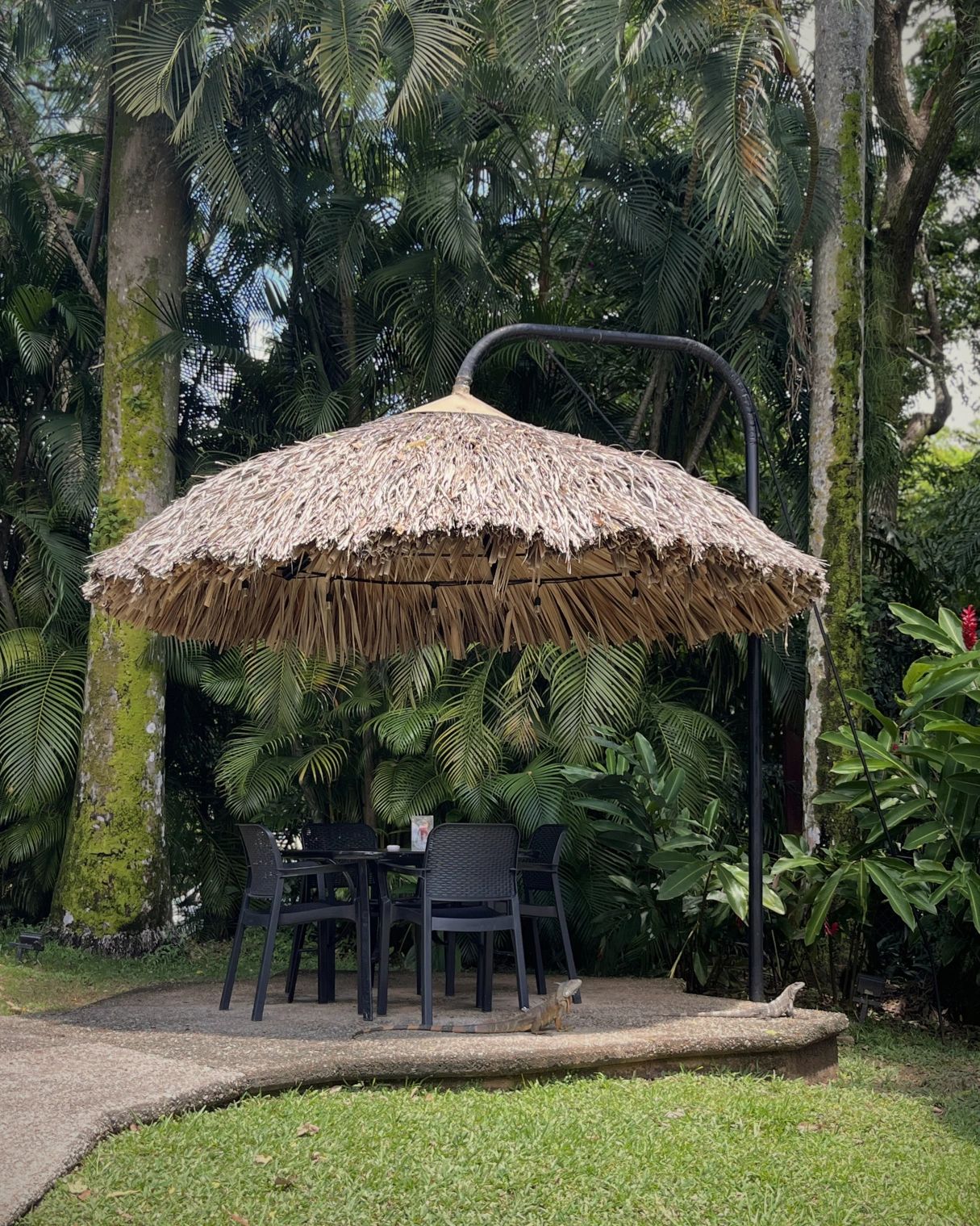 Hotel Maya Palenque