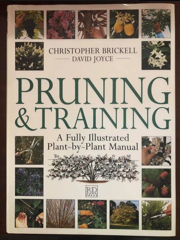 Pruning & Training