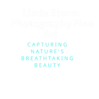 Linda Storm Photography Fine Art