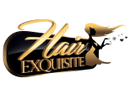 Hair Exquisite