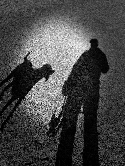 Self reflection in SAR is key 