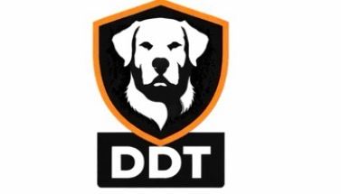 Dice Defensive Technologies's Logo