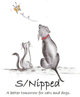 S/Nipped