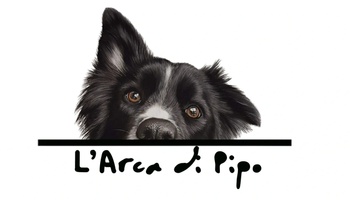 L´Arca di Pipo