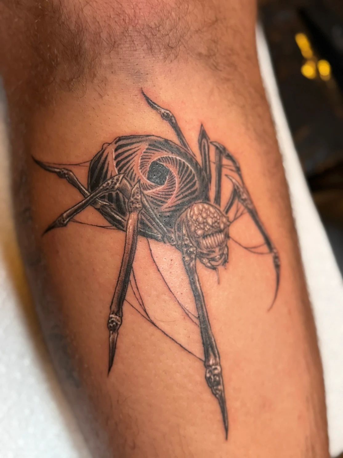 Black and gray spider tattoo with intricate details.