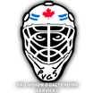 Pro Vision Goaltending Services