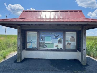 Blackwater National Refuge and Wildlife