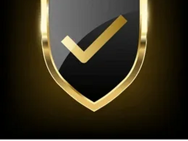 Security online for a virtual assistant company that does virtual assistant and task based work 