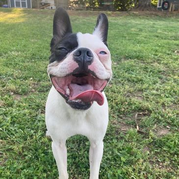 Say Cheese! 