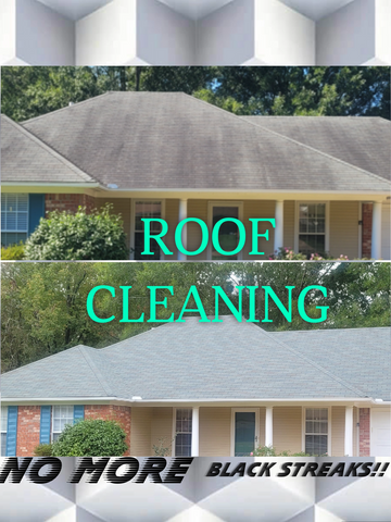 Jackson MS Pinnacle roof cleaning no more black streaks