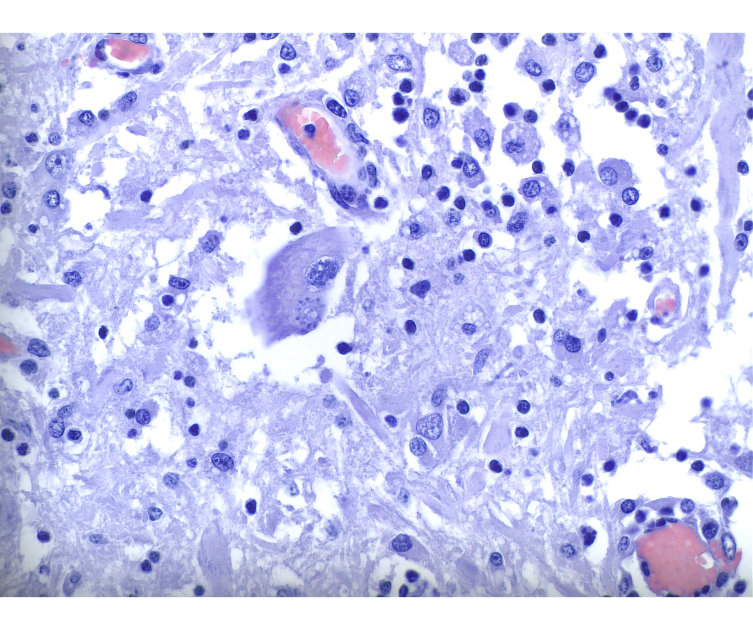 device-diagnostic-pathology-llc