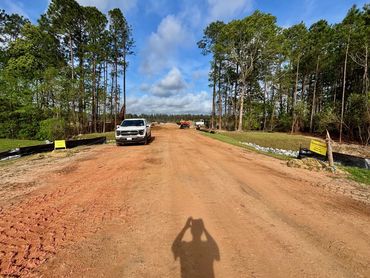 Dirt road with cars and trees on both sides.
