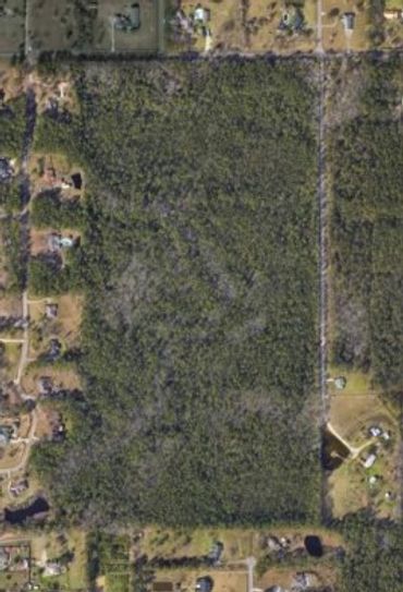 Aerial view of a large rectangular wooded area surrounded by houses.