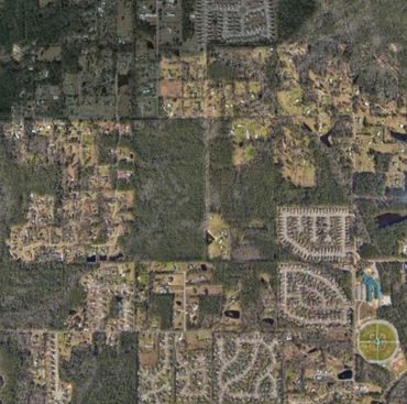 Aerial view of a suburban area with houses and greenery.