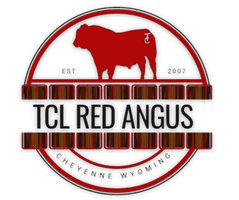 TCL Red Angus