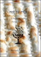 Cover image for A Seder of Light