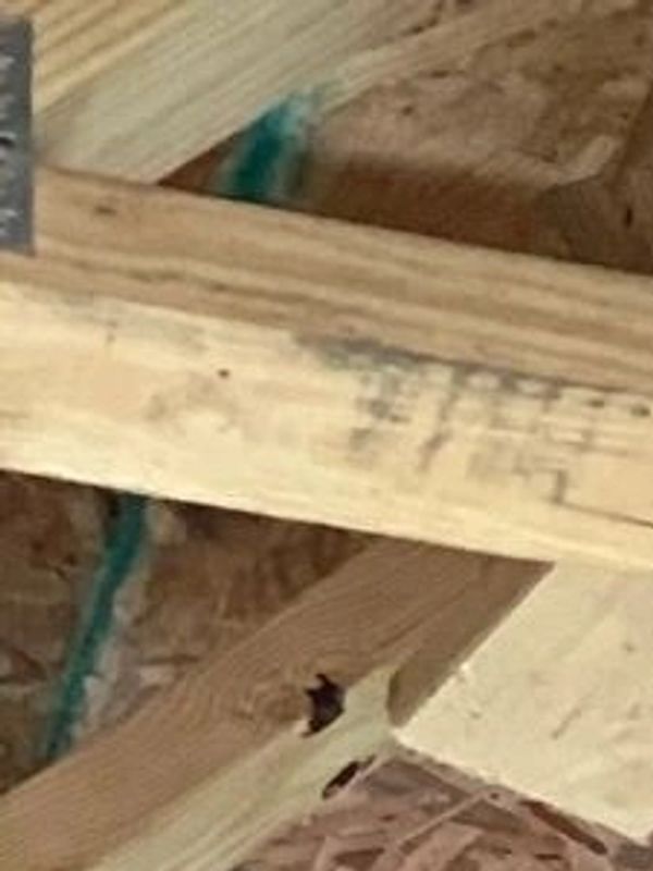 Framing process during residential construction as MWBE project with COH