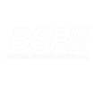 BSP Special Service Group, LLC 