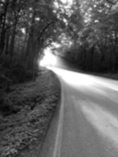 el camino, the path