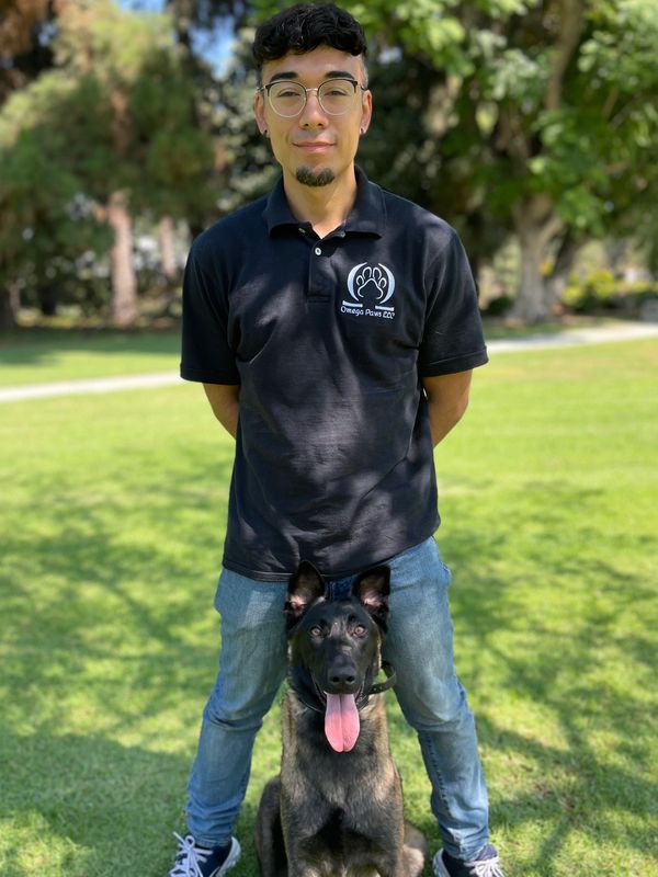 Louis The Dog Trainer. Louis Lopez Dog Trainer at Omega Paws Dog Training. 