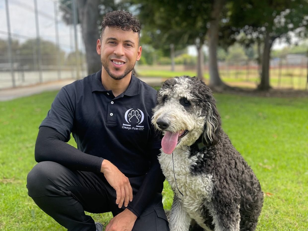 Meet Alexx Rodriguez the Dog Trainer. Dog Trainer Alexx Rodriguez at Omega Paws Dog Training  