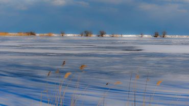 Niles Pond with snow 