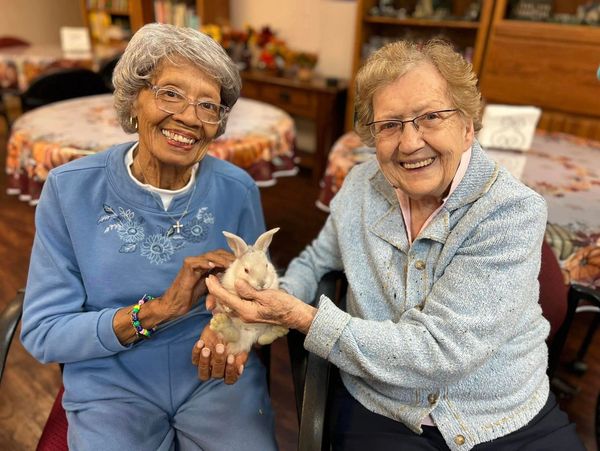 Two elder women enjoying time with a baby bunny